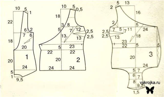 modello del corpo 2