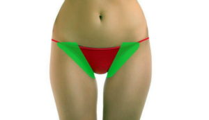 garis bikini