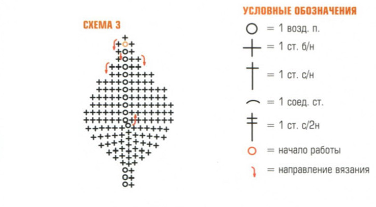 diagramă frunze jambiere