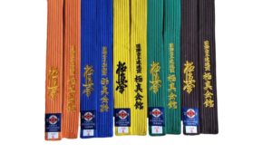 Kyokushin karatebelte