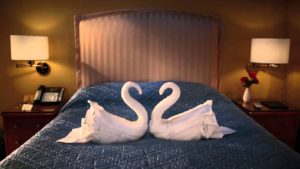 swans made from towels