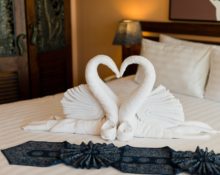 towel swans