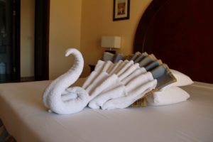 original swan from a towel