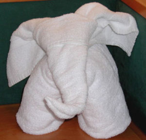 Elefant