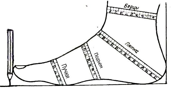 Leg measurements