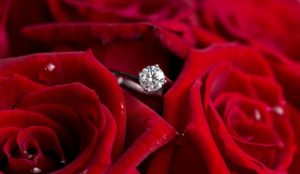 cincin dalam bunga mawar