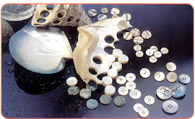 bone buttons