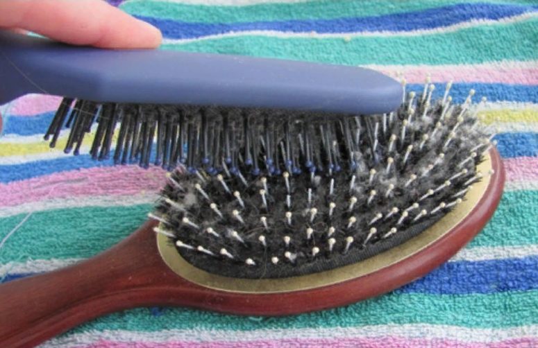 panlinis suklay brush brush paglilinis