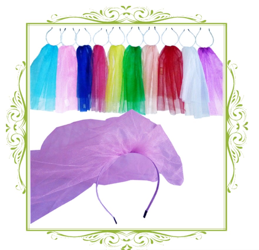 veil for bachelorette party 1