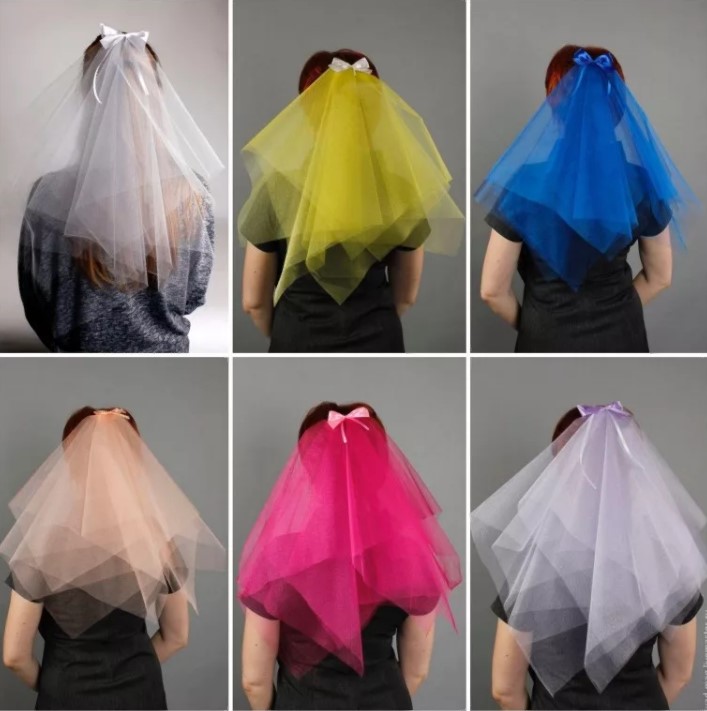 veil for bachelorette party 3