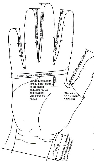 gants sans doigts mesures des mains