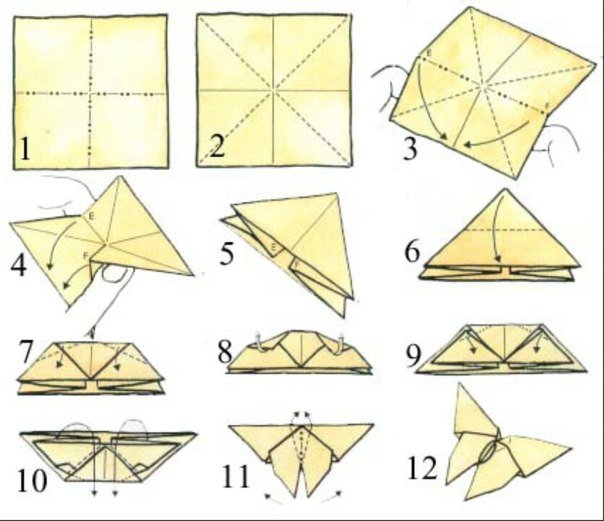 bươm bướm