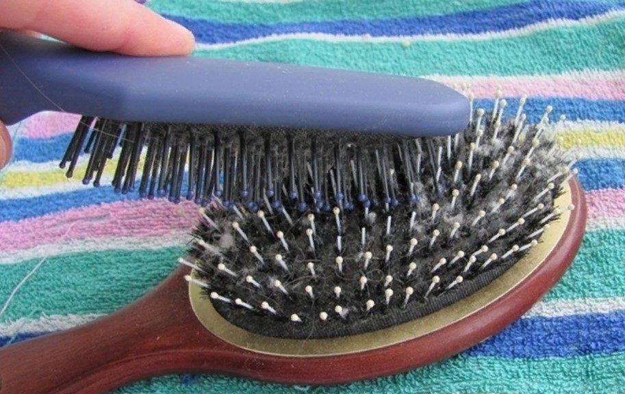 brosse à poils naturels 5