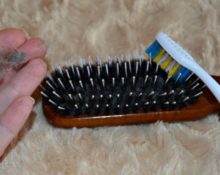 brush with natural bristles 6