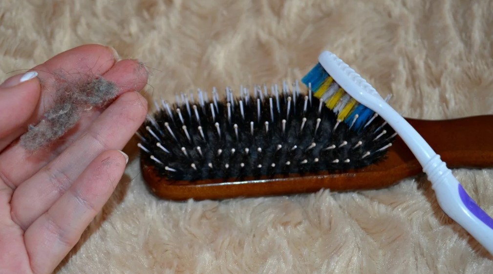 brush na may natural na bristles 6