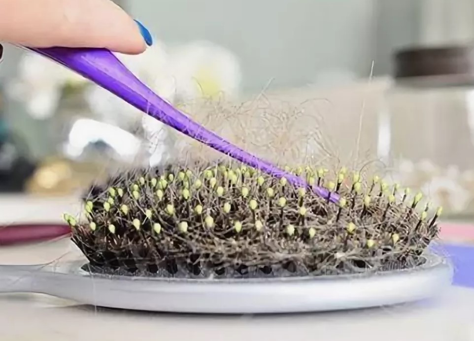 borstel met natuurlijke haren om haar te verwijderen