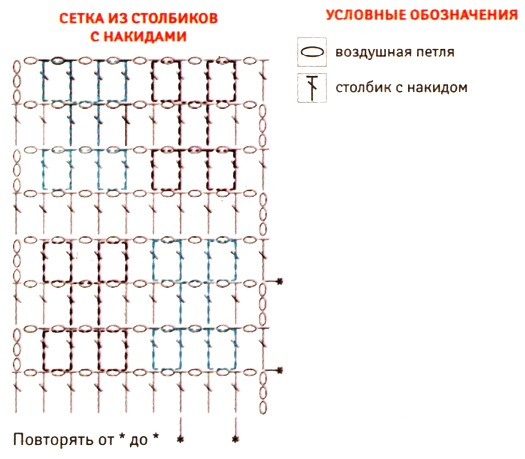 diagramma della calotta cranica 2