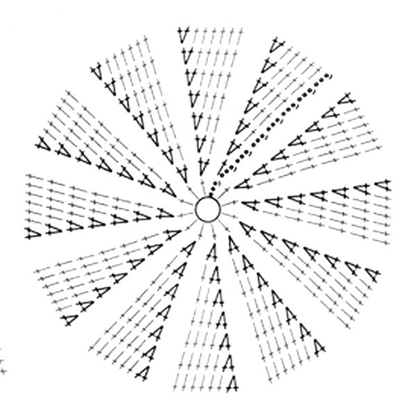 case circle 2