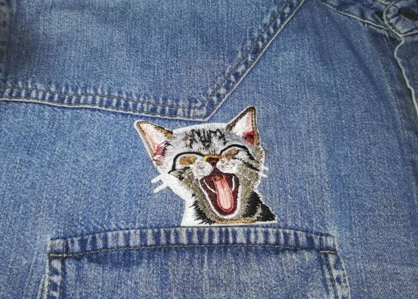 jeans cat