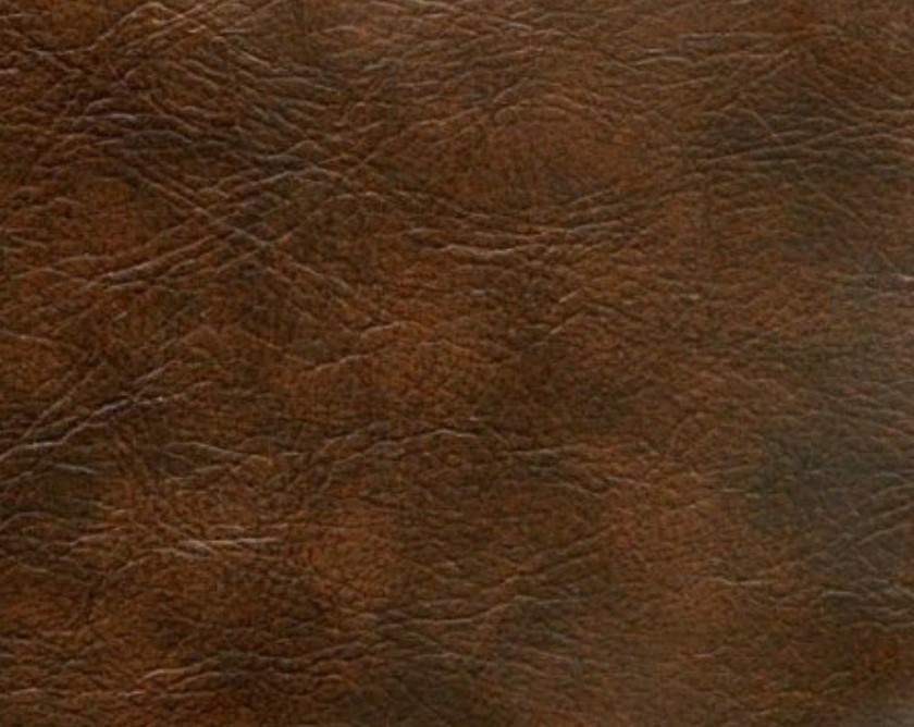 pelle di shagreen 2