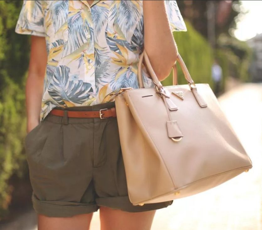 safari shorts