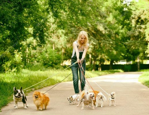 Cosa indossare per una passeggiata con il cane che sia alla moda ma comodo