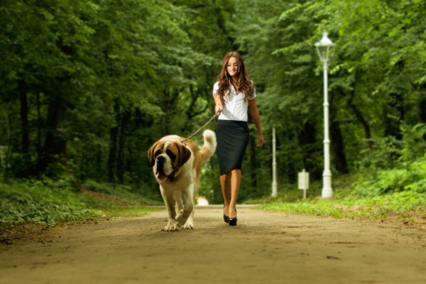 Vad man ska ha på sig för en promenad med hunden som är moderiktig men bekväm