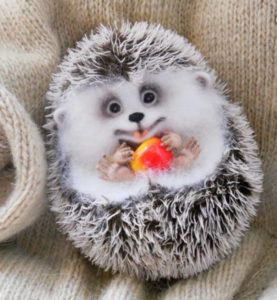 hedgehog crafts