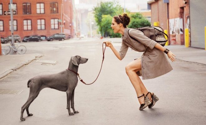 Qué ponerse para pasear con el perro que esté a la moda pero cómodo