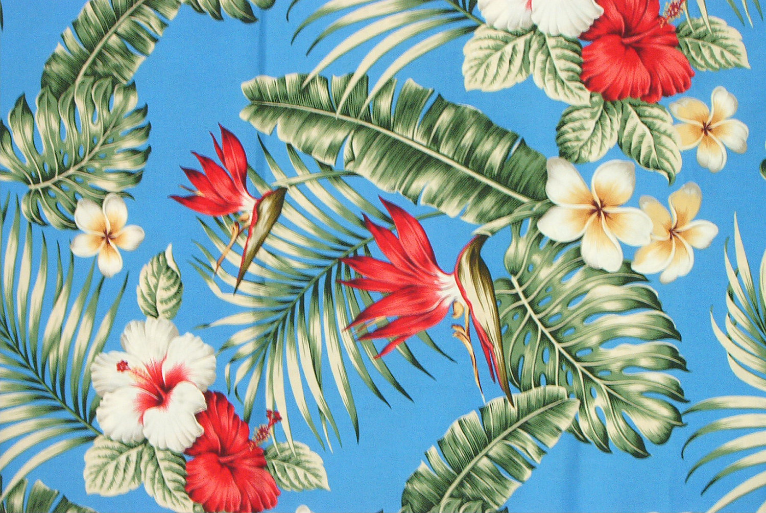 estampado tropical