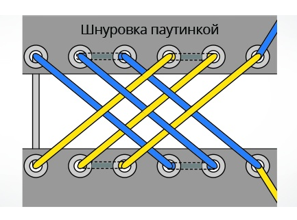 zirnekļu tīkls