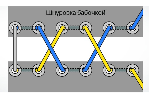 metulj