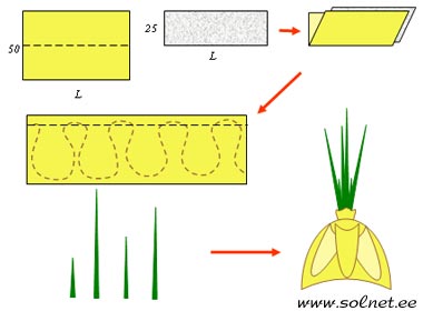 Trang phục Cipollino DIY cho bé trai