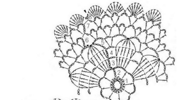 csésze állvány diagram