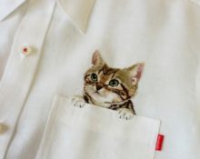 cat on shirt