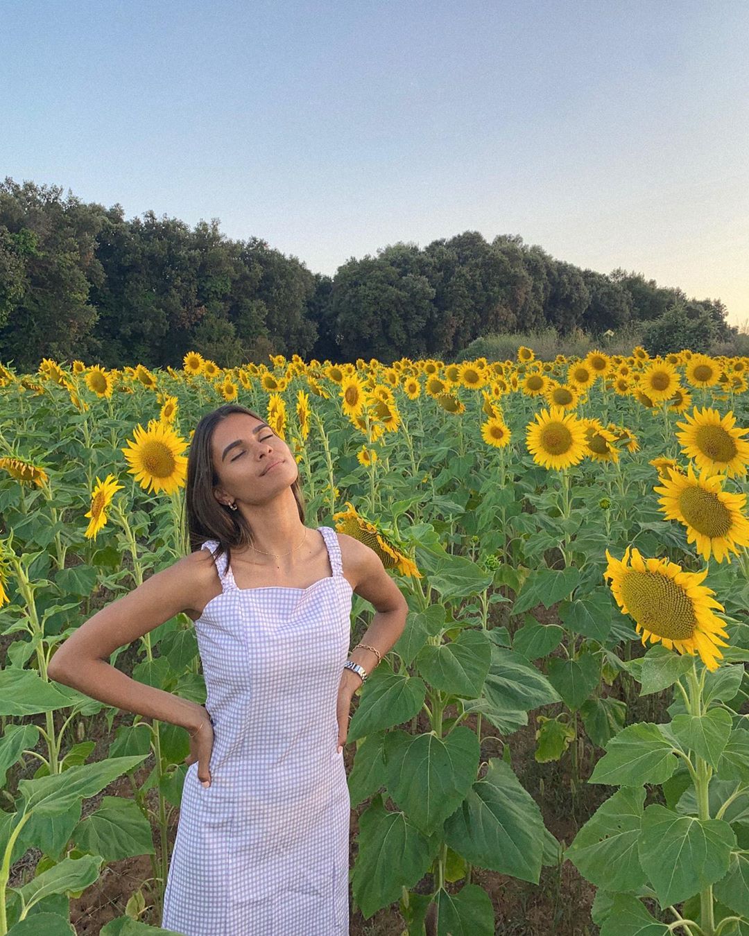 Fille parmi les tournesols