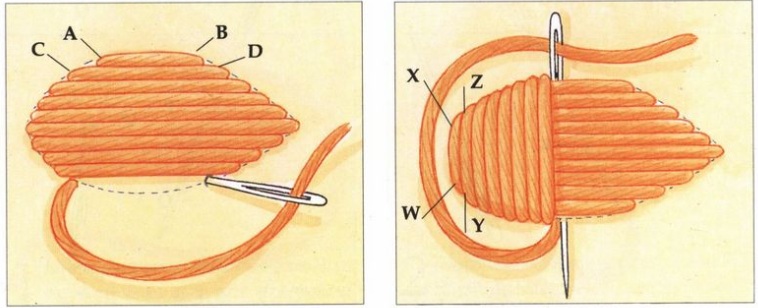 lattia