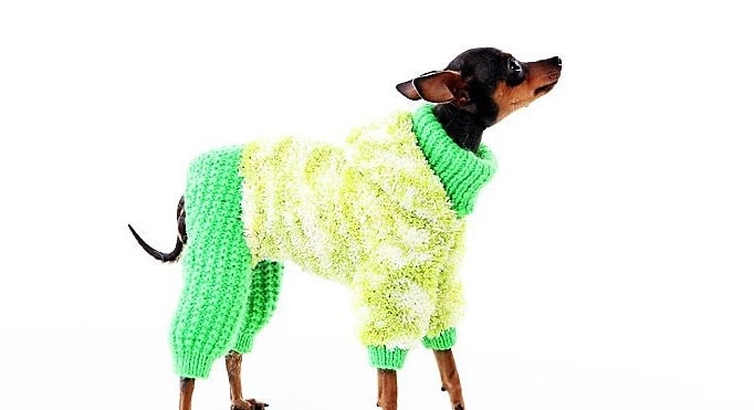 pet clothes made from old socks