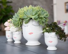 bloem in een pot voor housewarming